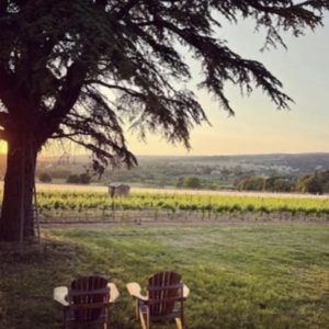 IMG_6964.jpg
